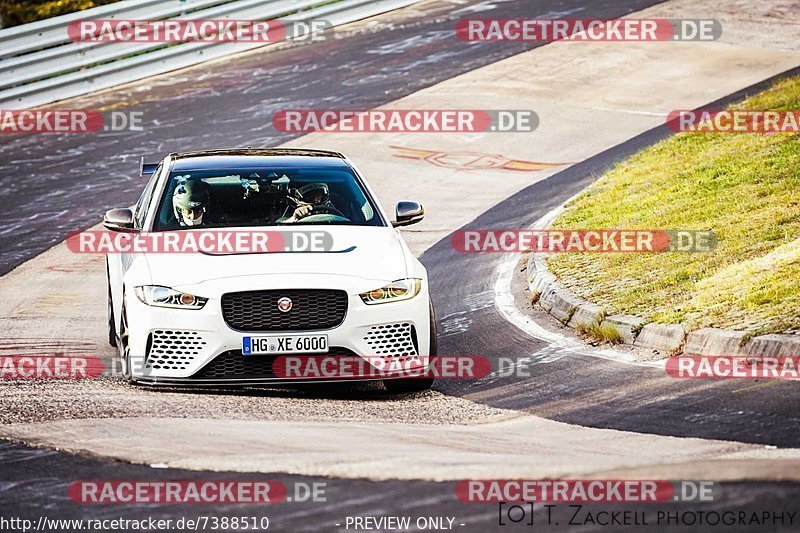 Bild #7388510 - Touristenfahrten Nürburgring Nordschleife (01.09.2019)