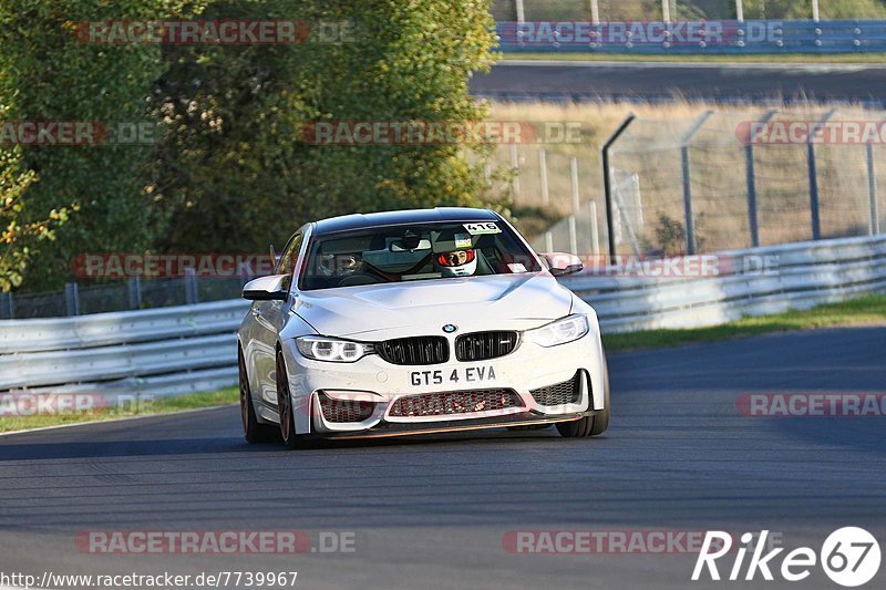 Bild #7739967 - Touristenfahrten Nürburgring Nordschleife (14.10.2019)