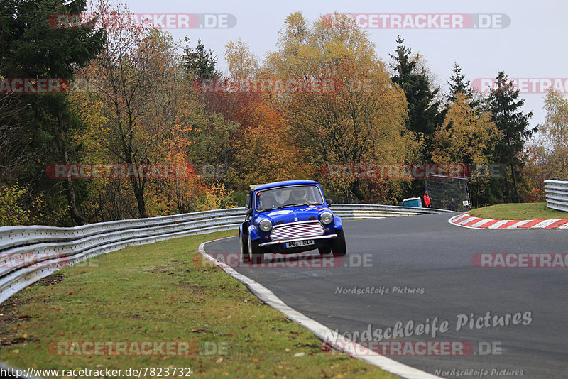 Bild #7823732 - ADAC Rallye Köln Ahrweiler 2019