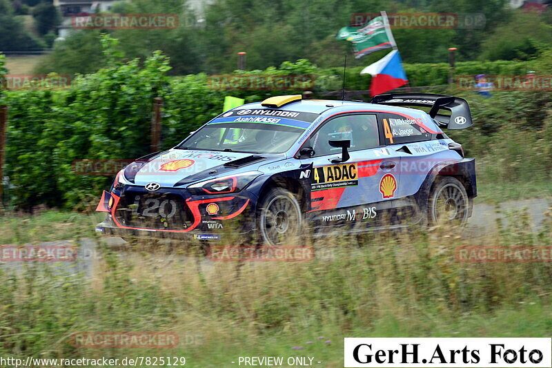 Bild #7825129 - WRC - Deutschland Rallye / WP Mittelmosel