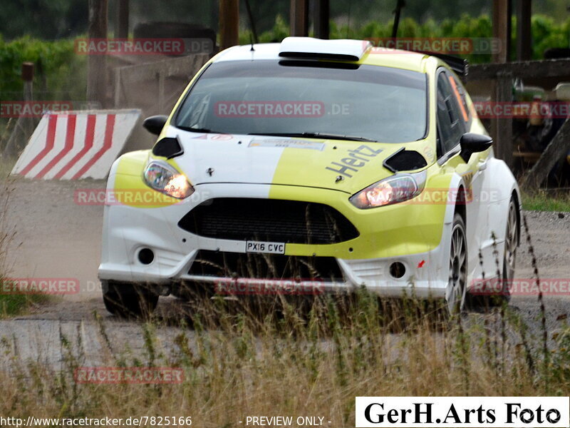 Bild #7825166 - WRC - Deutschland Rallye / WP Mittelmosel