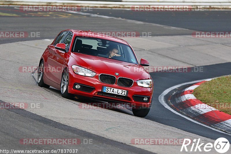 Bild #7837037 - Touristenfahrten Nürburgring Nordschleife (23.11.2019)