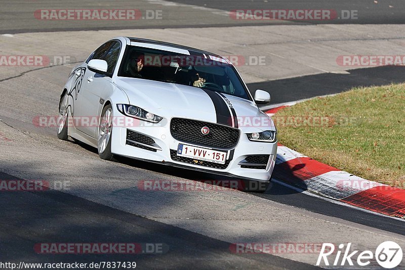 Bild #7837439 - Touristenfahrten Nürburgring Nordschleife (23.11.2019)