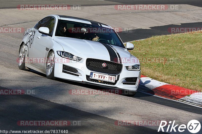 Bild #7837440 - Touristenfahrten Nürburgring Nordschleife (23.11.2019)