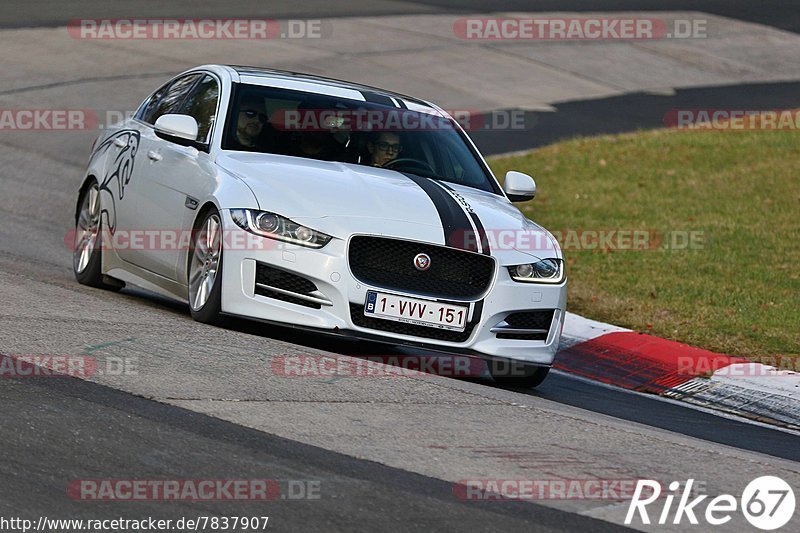 Bild #7837907 - Touristenfahrten Nürburgring Nordschleife (23.11.2019)