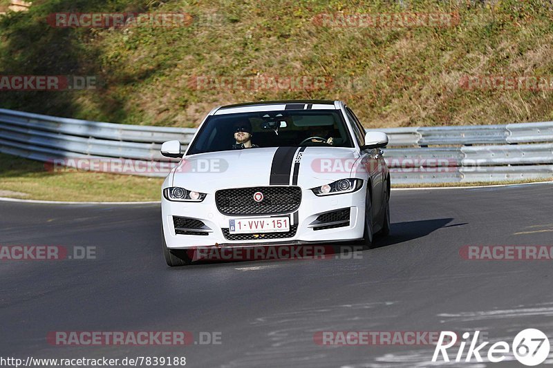 Bild #7839188 - Touristenfahrten Nürburgring Nordschleife (23.11.2019)