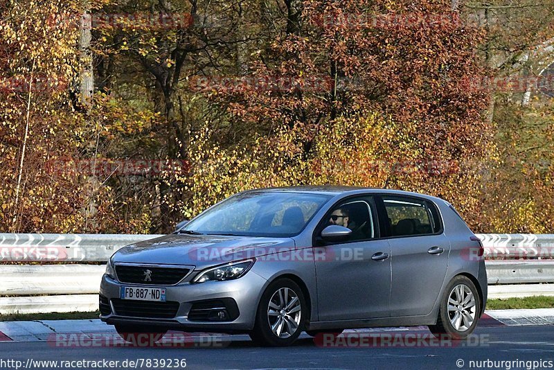 Bild #7839236 - Touristenfahrten Nürburgring Nordschleife (23.11.2019)