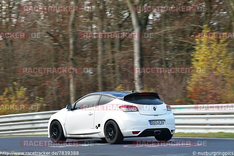 Bild #7839388 - Touristenfahrten Nürburgring Nordschleife (23.11.2019)