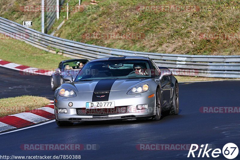 Bild #7850388 - Touristenfahrten Nürburgring Nordschleife (24.11.2019)