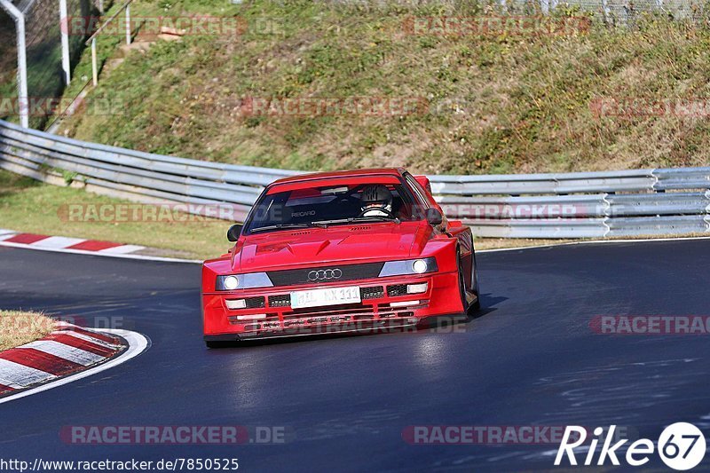 Bild #7850525 - Touristenfahrten Nürburgring Nordschleife (24.11.2019)