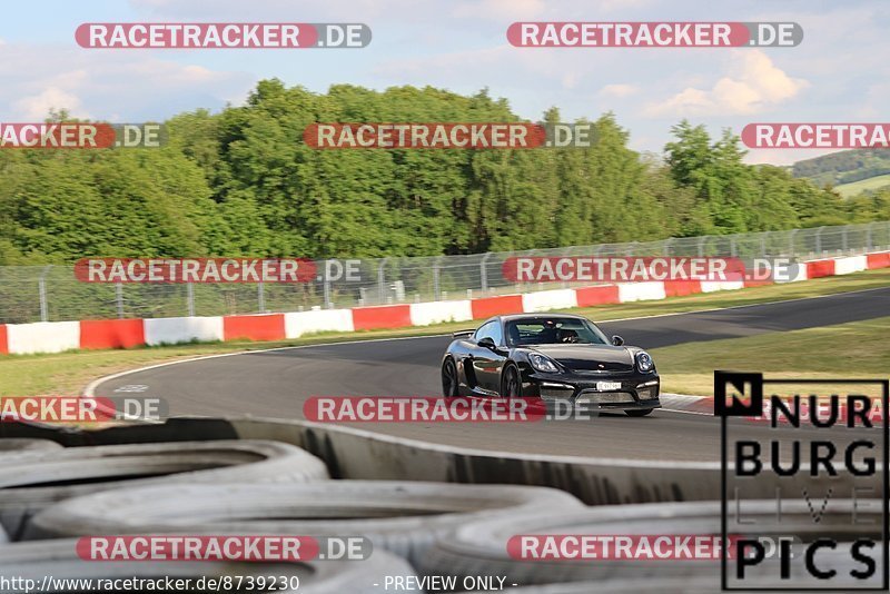 Bild #8739230 - Touristenfahrten Nürburgring Nordschleife (25.05.2020)