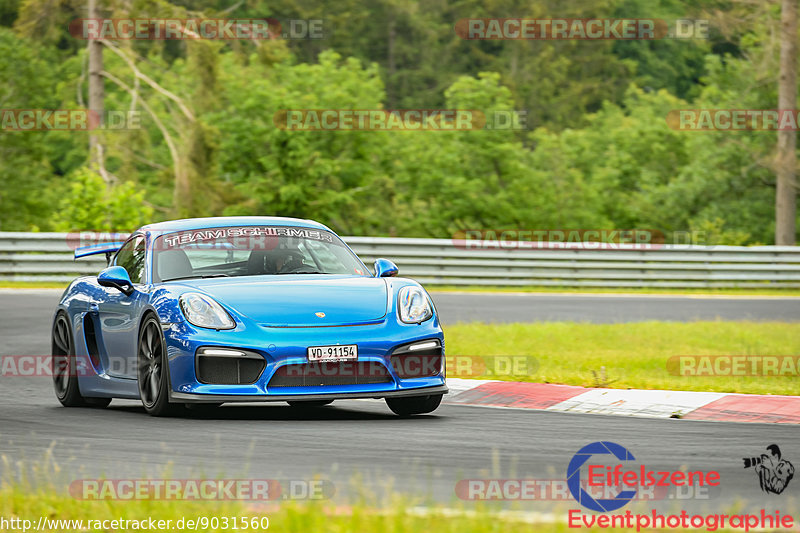 Bild #9031560 - Touristenfahrten Nürburgring Nordschleife (10.06.2020)