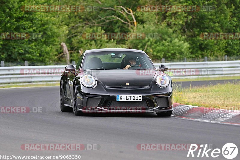 Bild #9065350 - Touristenfahrten Nürburgring Nordschleife (11.06.2020)