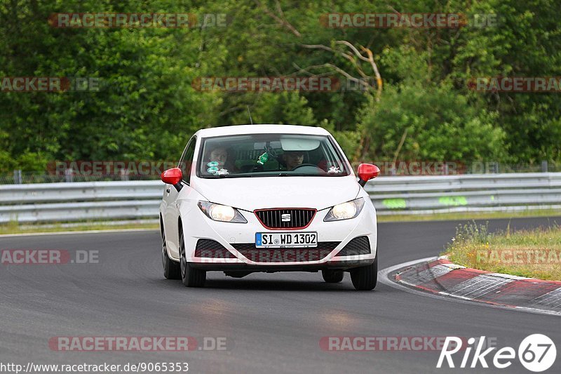 Bild #9065353 - Touristenfahrten Nürburgring Nordschleife (11.06.2020)