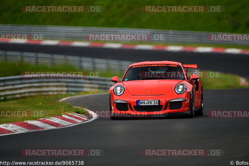 Bild #9065738 - Touristenfahrten Nürburgring Nordschleife (11.06.2020)