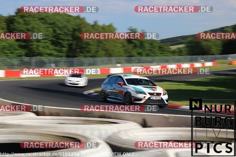 Bild #9101350 - Touristenfahrten Nürburgring Nordschleife (13.06.2020)