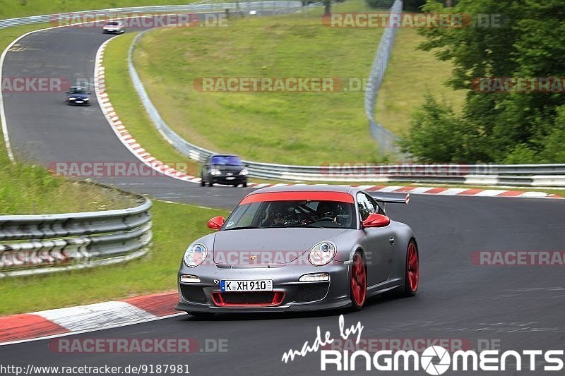 Bild #9187981 - Touristenfahrten Nürburgring Nordschleife (21.06.2020)