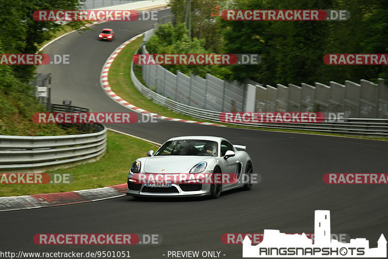 Bild #9501051 - Touristenfahrten Nürburgring Nordschleife (15.07.2020)