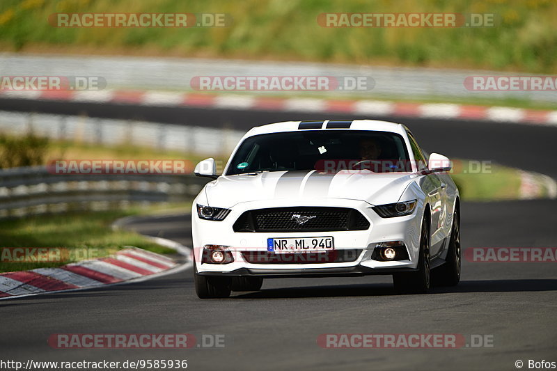 Bild #9585936 - Touristenfahrten Nürburgring Nordschleife (19.07.2020)