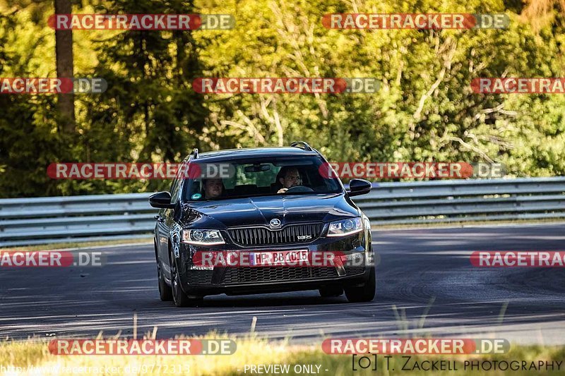 Bild #9772313 - Touristenfahrten Nürburgring Nordschleife (28.07.2020)