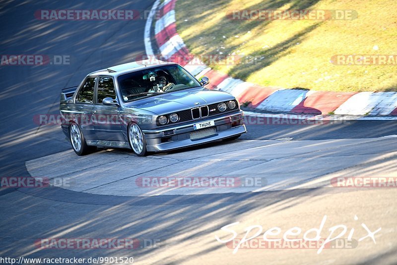 Bild #9901520 - Touristenfahrten Nürburgring Nordschleife (05.08.2020)