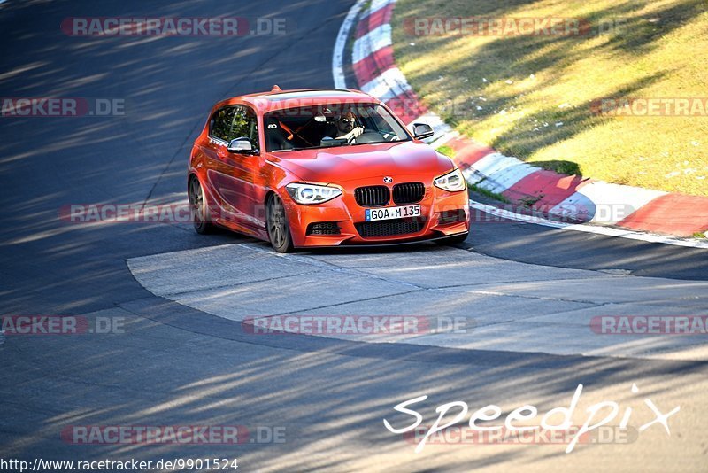 Bild #9901524 - Touristenfahrten Nürburgring Nordschleife (05.08.2020)