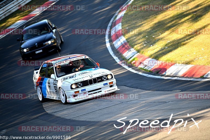 Bild #9901586 - Touristenfahrten Nürburgring Nordschleife (05.08.2020)