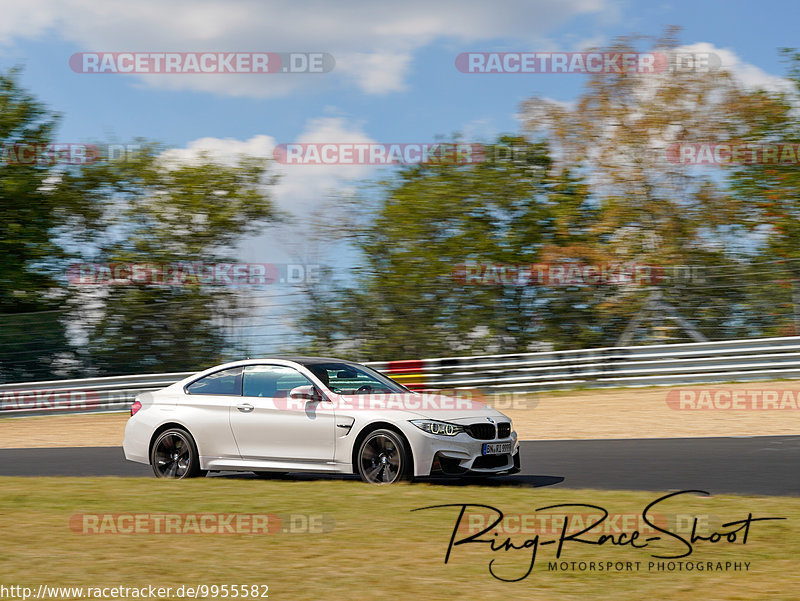 Bild #9955582 - Touristenfahrten Nürburgring Nordschleife (08.08.2020)