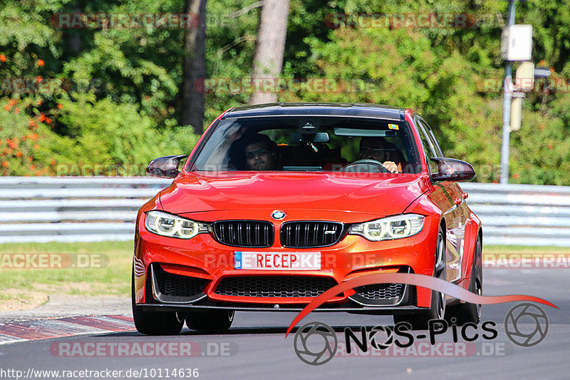 Bild #10114636 - Touristenfahrten Nürburgring Nordschleife (16.08.2020)