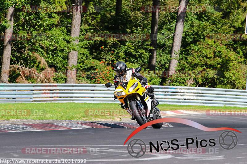 Bild #10317899 - Touristenfahrten Nürburgring Nordschleife (23.08.2020)