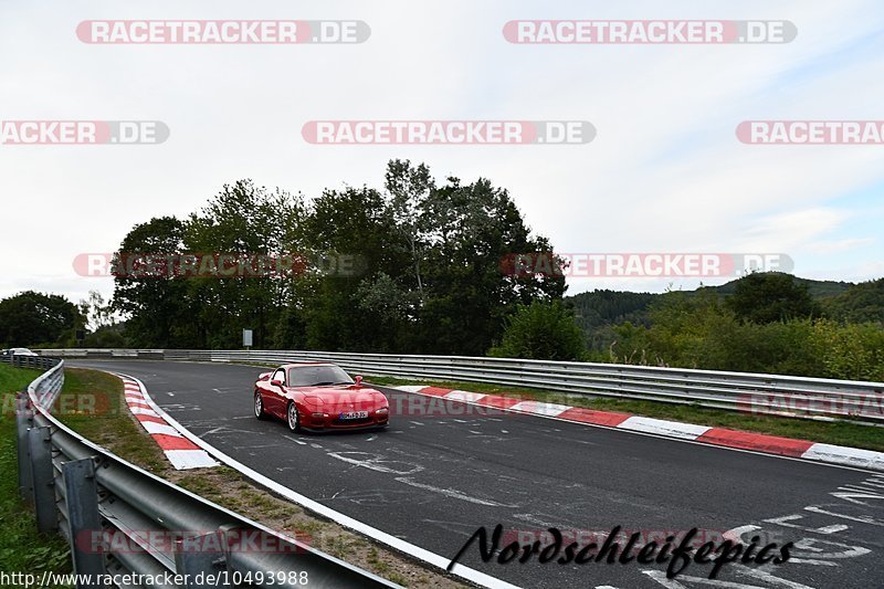 Bild #10493988 - Touristenfahrten Nürburgring Nordschleife (05.09.2020)