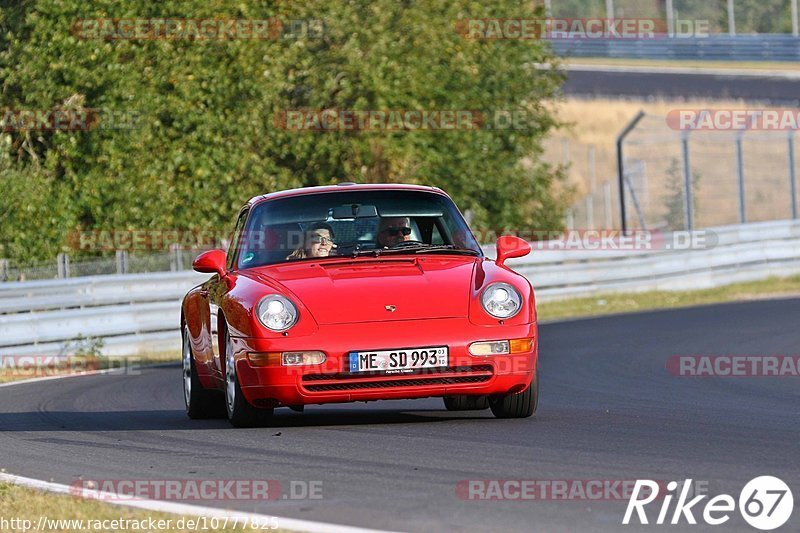 Bild #10777825 - Touristenfahrten Nürburgring Nordschleife (14.09.2020)