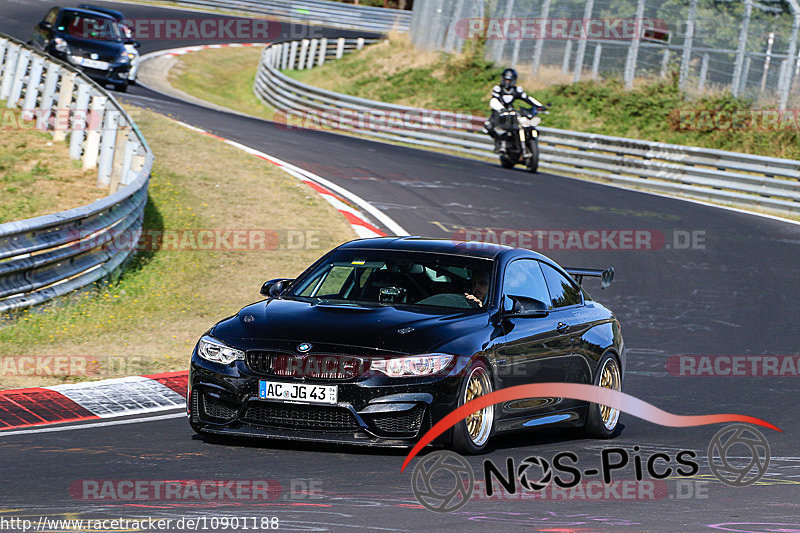 Bild #10901188 - Touristenfahrten Nürburgring Nordschleife (20.09.2020)