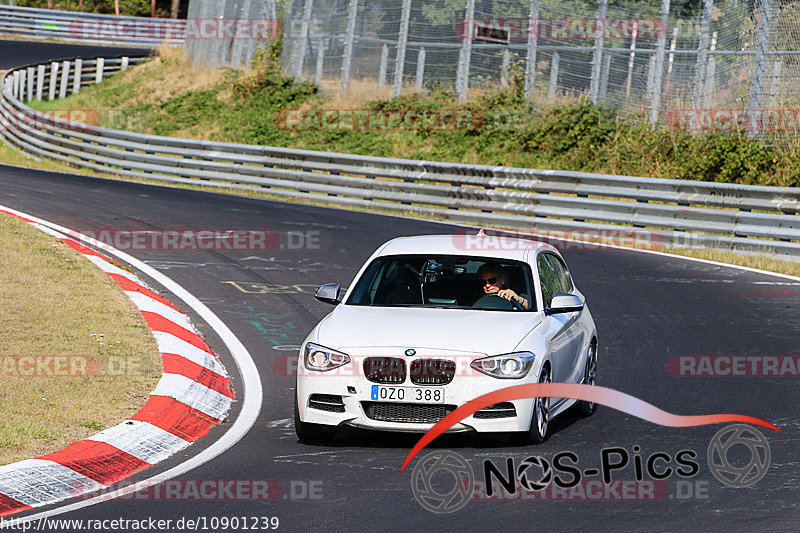 Bild #10901239 - Touristenfahrten Nürburgring Nordschleife (20.09.2020)