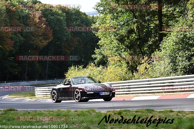 Bild #10901734 - Touristenfahrten Nürburgring Nordschleife (20.09.2020)