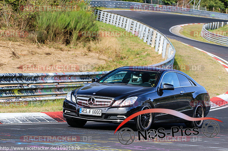 Bild #10901829 - Touristenfahrten Nürburgring Nordschleife (20.09.2020)