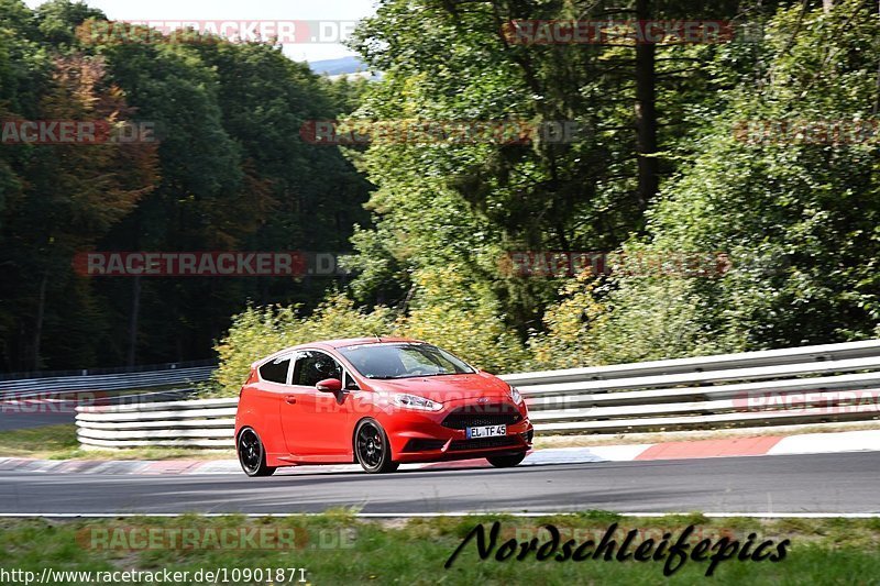 Bild #10901871 - Touristenfahrten Nürburgring Nordschleife (20.09.2020)