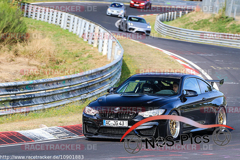 Bild #10901883 - Touristenfahrten Nürburgring Nordschleife (20.09.2020)