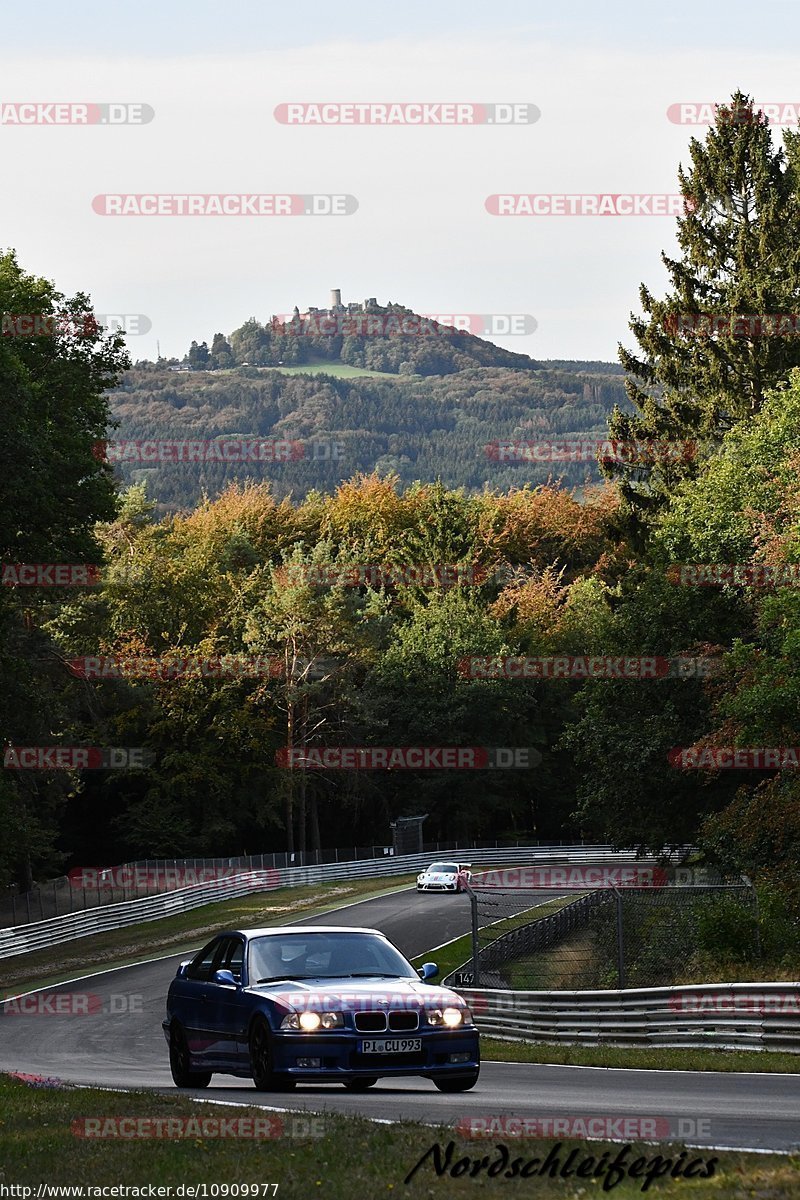 Bild #10909977 - Touristenfahrten Nürburgring Nordschleife (20.09.2020)