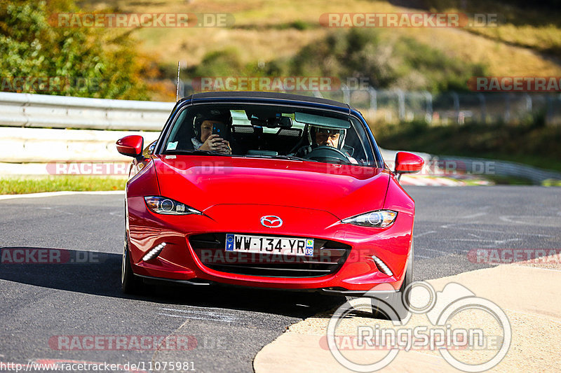 Bild #11075981 - Touristenfahrten Nürburgring Nordschleife (10.10.2020)