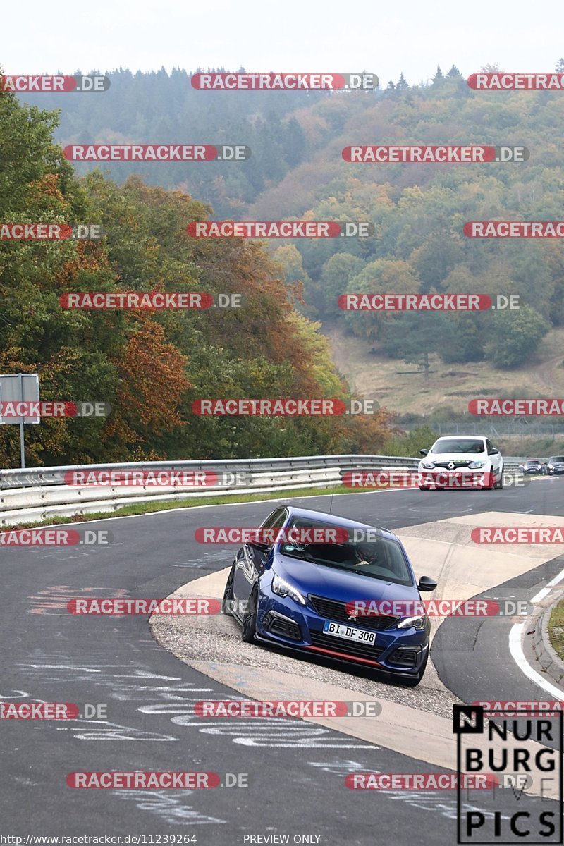 Bild #11239264 - Touristenfahrten Nürburgring Nordschleife (18.10.2020)