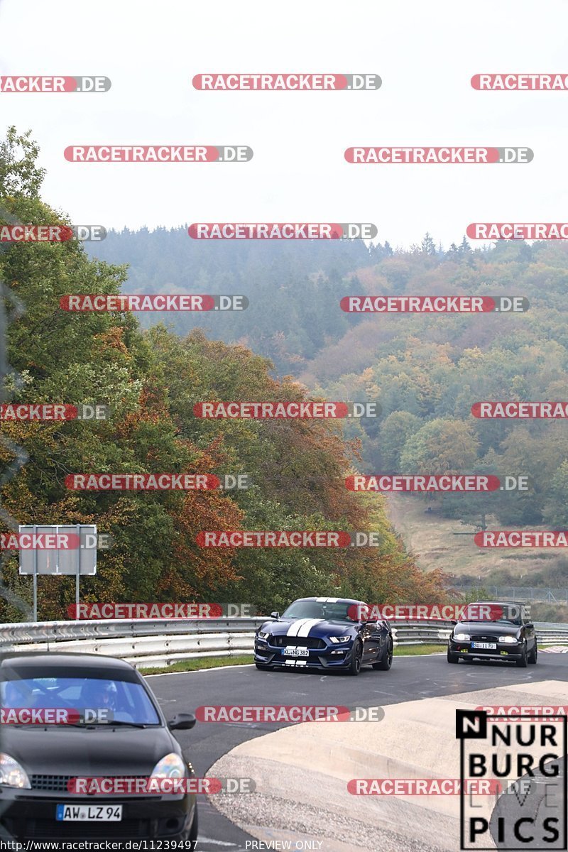 Bild #11239497 - Touristenfahrten Nürburgring Nordschleife (18.10.2020)