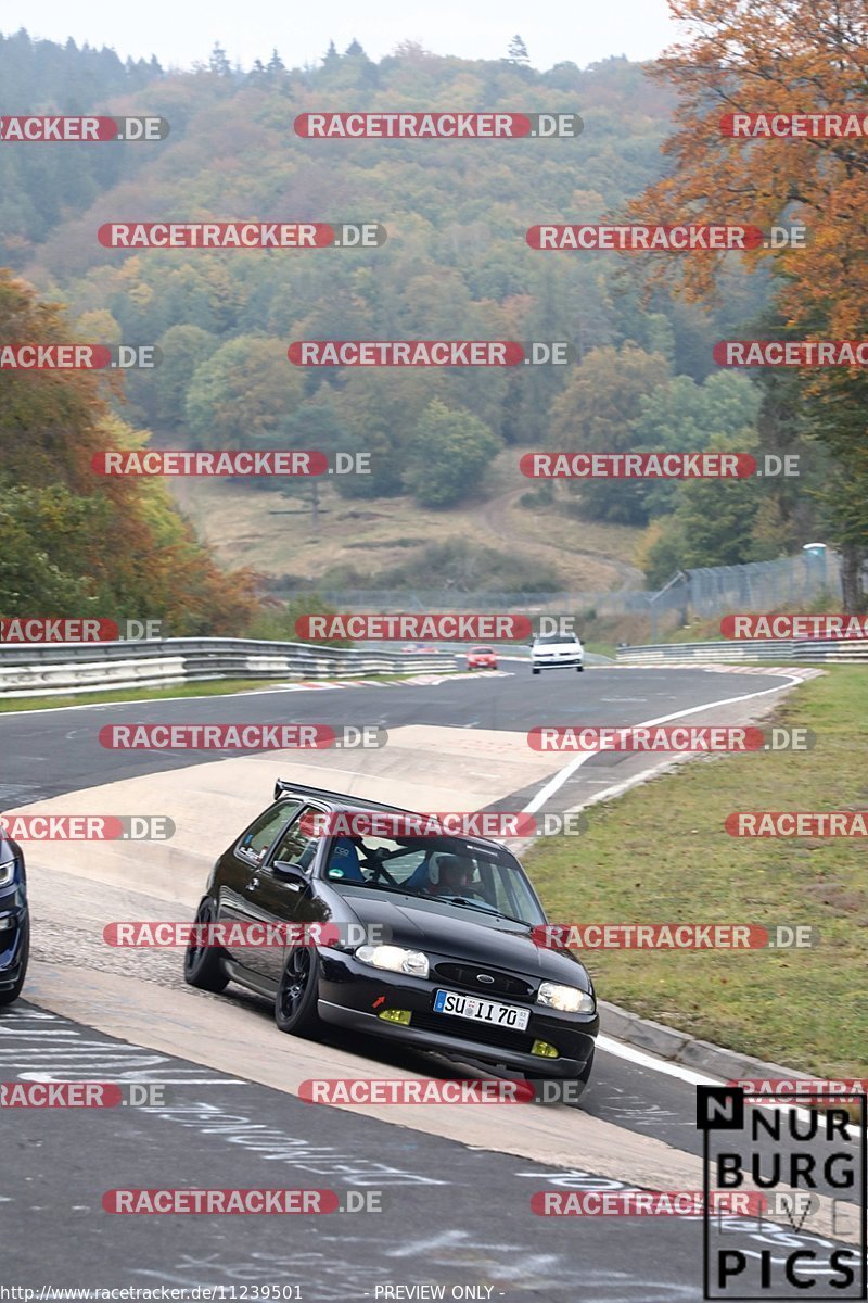 Bild #11239501 - Touristenfahrten Nürburgring Nordschleife (18.10.2020)