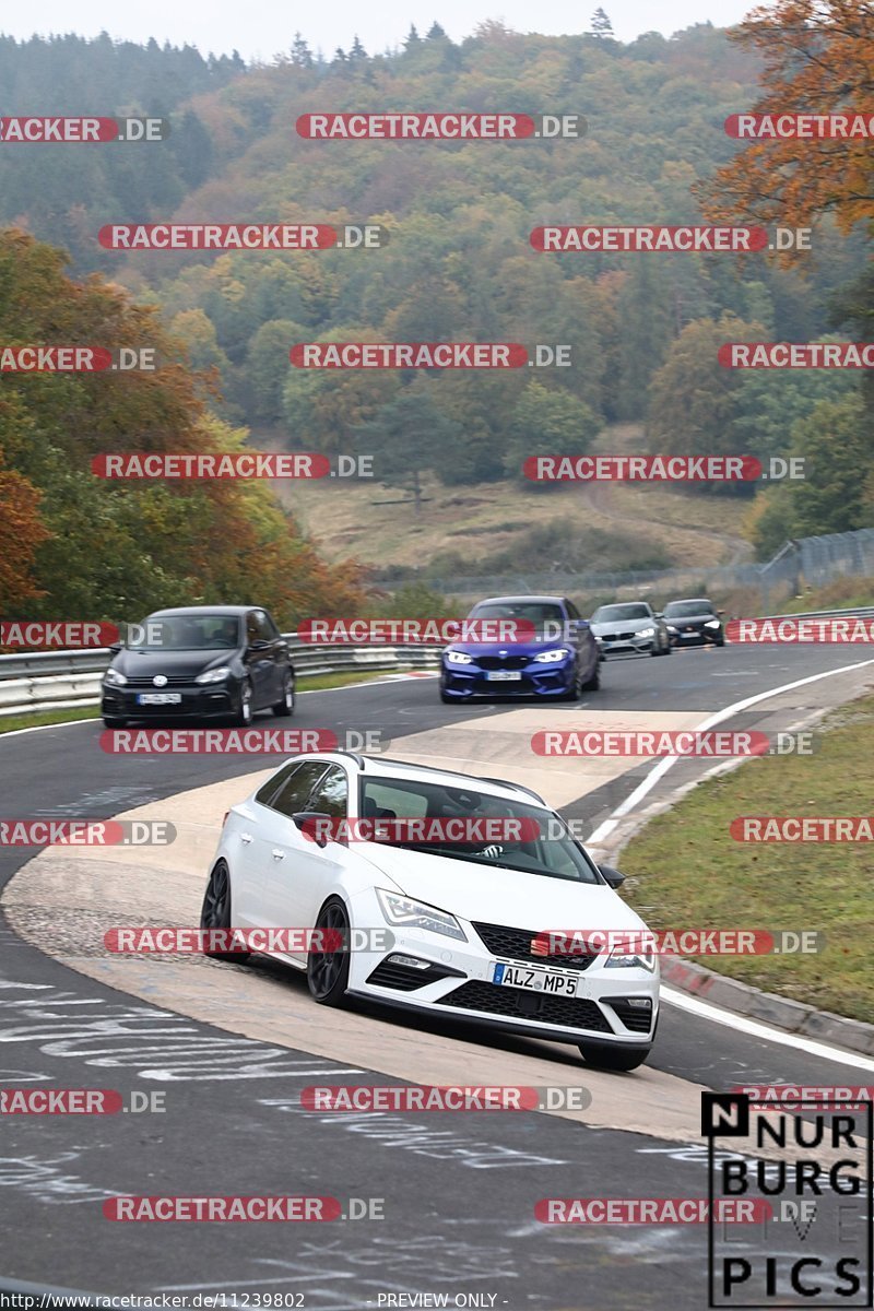 Bild #11239802 - Touristenfahrten Nürburgring Nordschleife (18.10.2020)