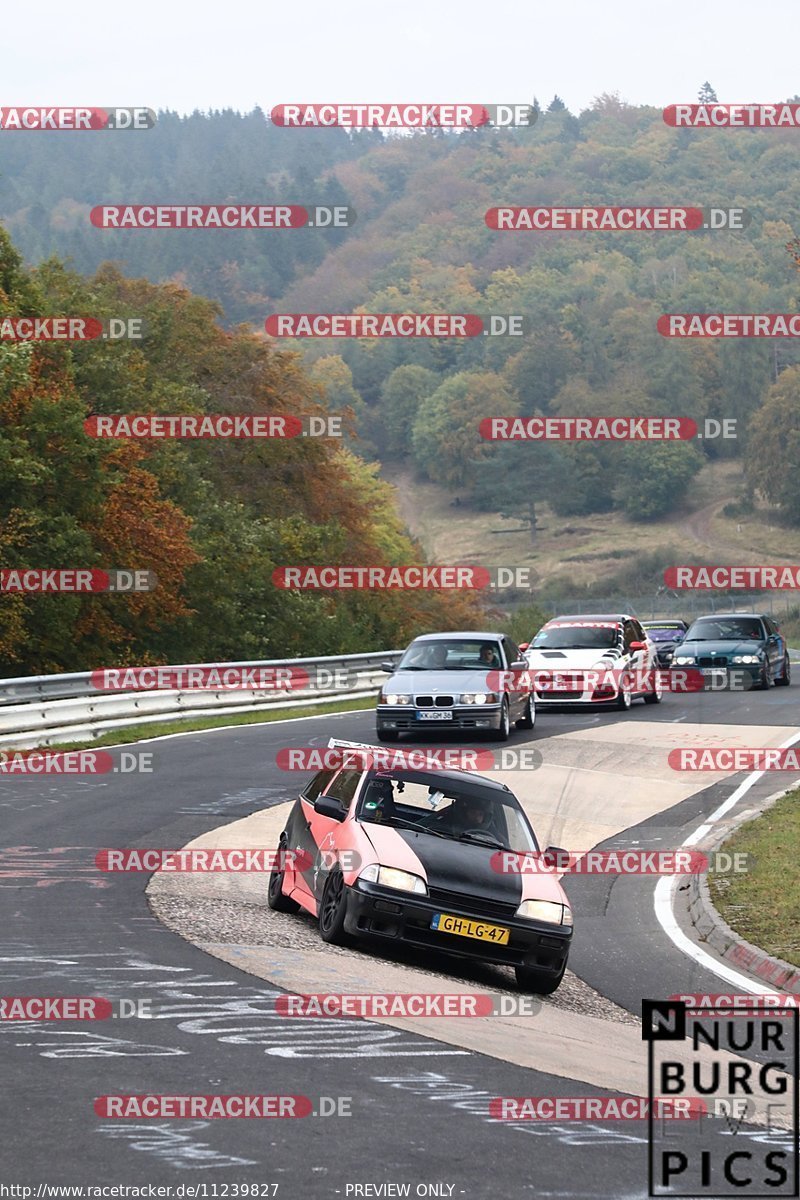 Bild #11239827 - Touristenfahrten Nürburgring Nordschleife (18.10.2020)