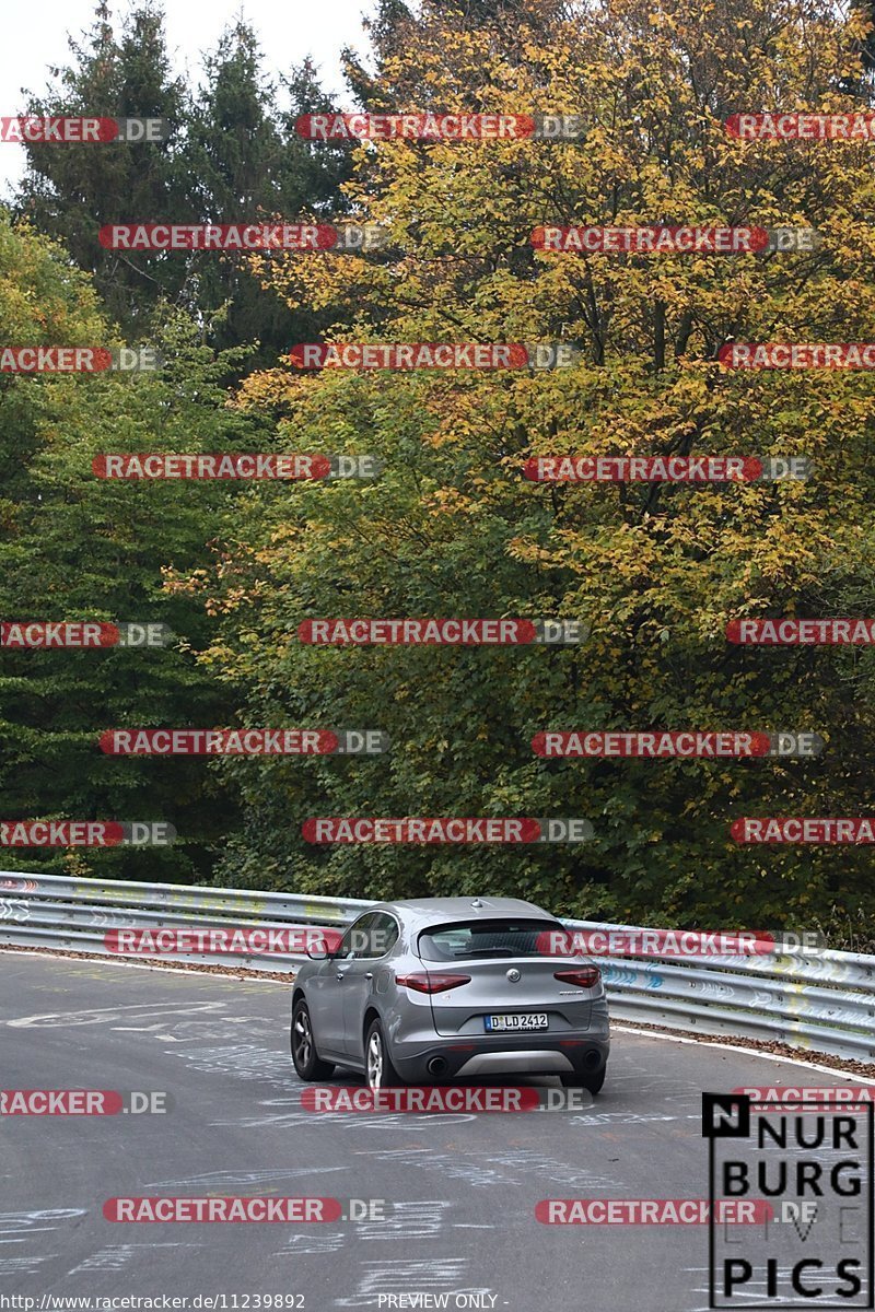 Bild #11239892 - Touristenfahrten Nürburgring Nordschleife (18.10.2020)