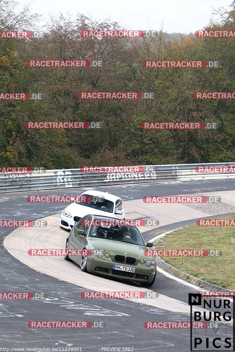 Bild #11239901 - Touristenfahrten Nürburgring Nordschleife (18.10.2020)