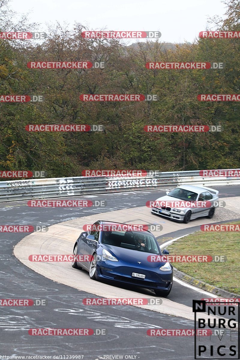 Bild #11239987 - Touristenfahrten Nürburgring Nordschleife (18.10.2020)