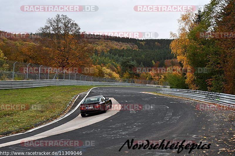 Bild #11309046 - Touristenfahrten Nürburgring Nordschleife (25.10.2020)