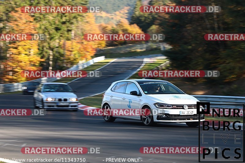 Bild #11343750 - Touristenfahrten Nürburgring Nordschleife (31.10.2020)